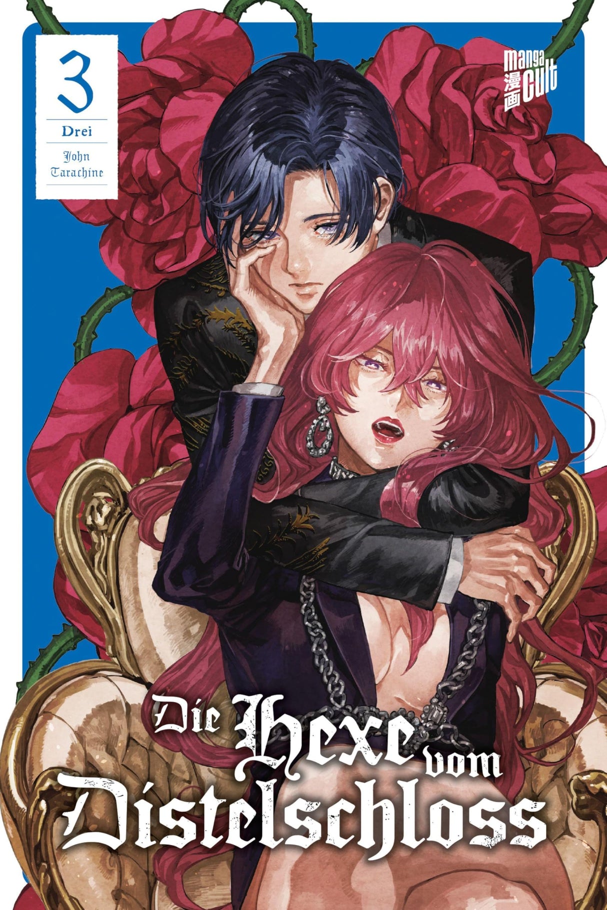 Die Hexe vom Distelschloss | Band 03