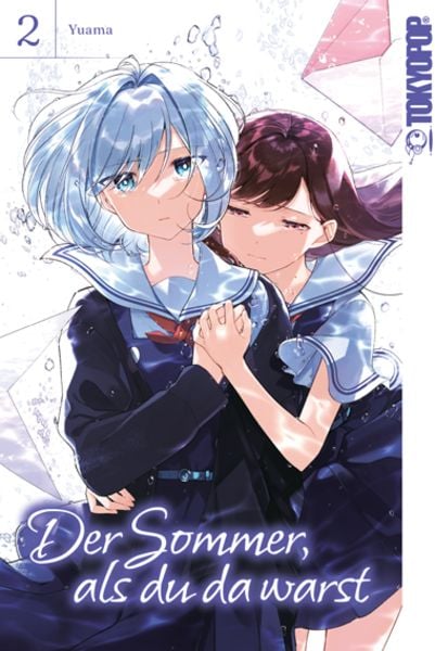 Der Sommer, als du da warst | Band 02