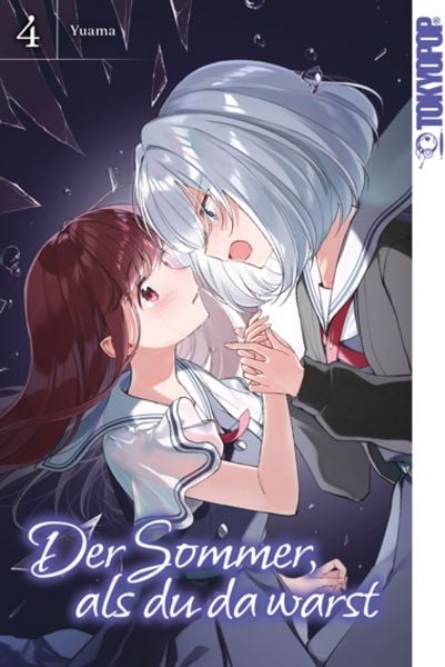 Der Sommer, als du da warst | Band 04