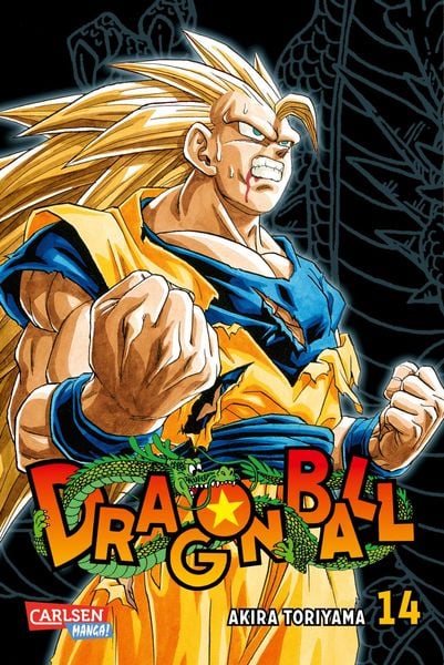 Dragon Ball Massiv | Band 14