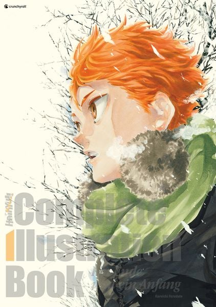 Haikyu!! | Complete Illustration Book