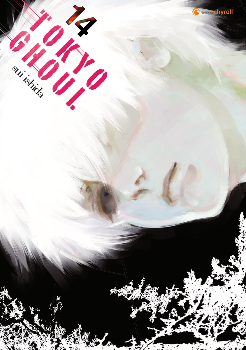 Tokyo Ghoul | Band 14 (Finale)
