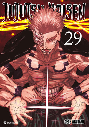 Jujutsu Kaisen | Band 29