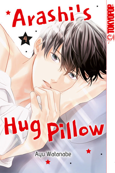 Arashi's Hug Pillow | Band 04