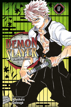 Demon Slayer | Band 17