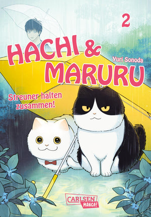 Hachi & Maruru - Streuner halten zusammen! | Band 02