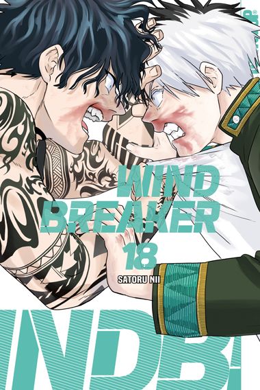Wind Breaker | Band 18