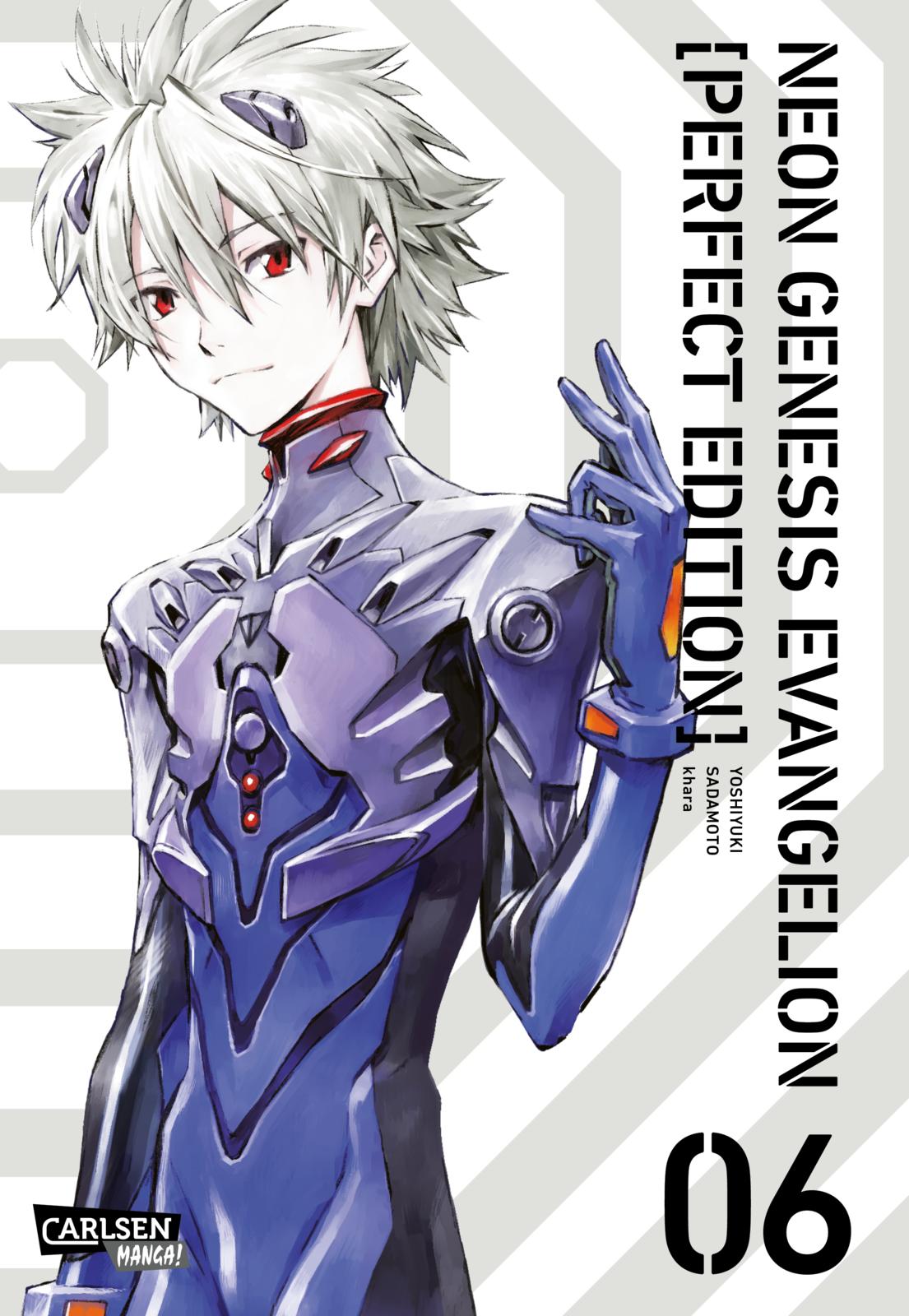 Neon Genesis Evangelion Perfect Edition | Band 06