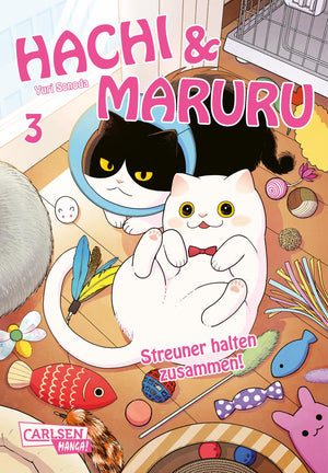 Hachi & Maruru - Streuner halten zusammen! | Band 03