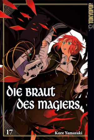 Die Braut des Magiers | Band 17