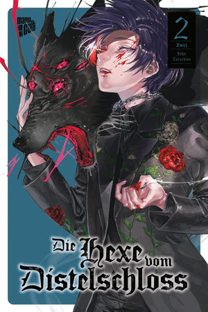 Die Hexe vom Distelschloss | Band 02