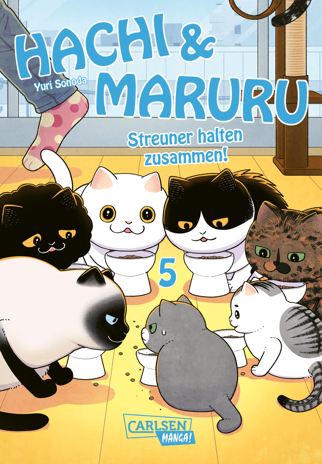 Hachi & Maruru - Streuner halten zusammen! | Band 05