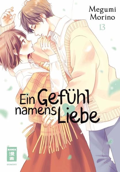 Ein Gefühl namens Liebe | Band 13