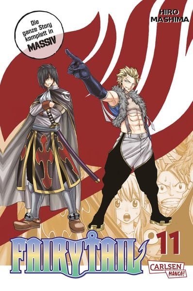 Fairy Tail Massiv | Band 11