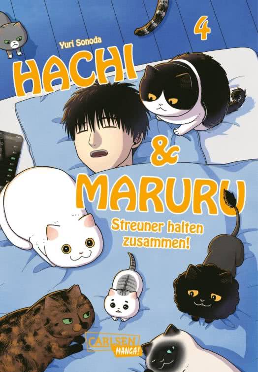 Hachi & Maruru - Streuner halten zusammen! | Band 04
