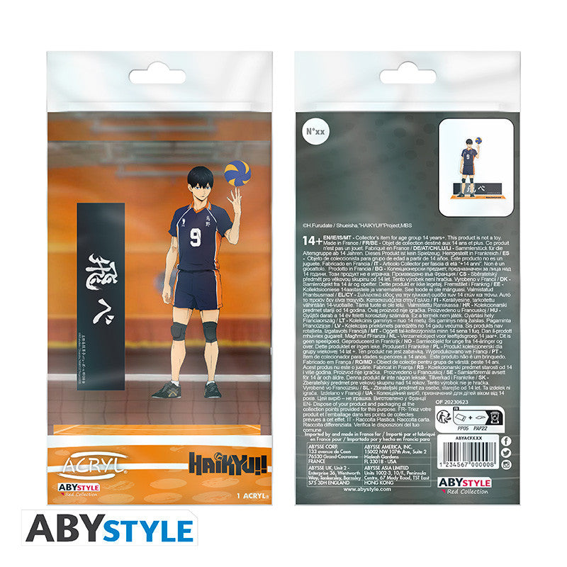 Tobio Kageyama | Haikyuu!! | Acryl Stand 9,5 cm