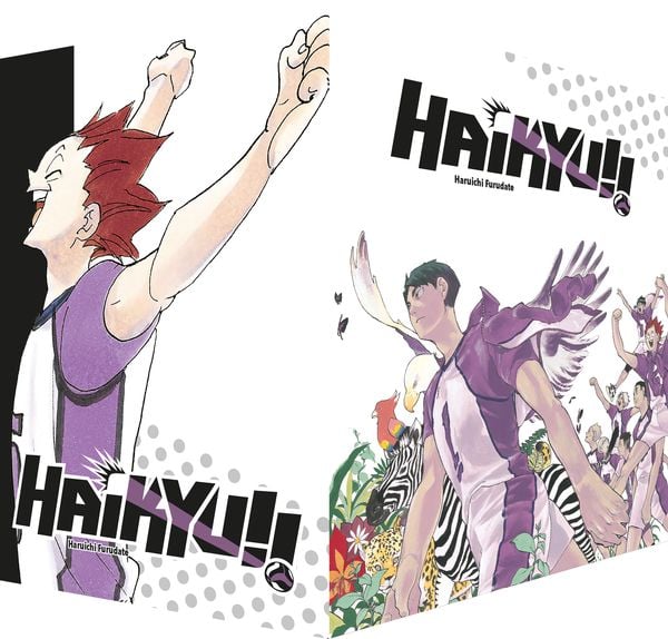 Haikyu!! | Band 31-40 im Schuber