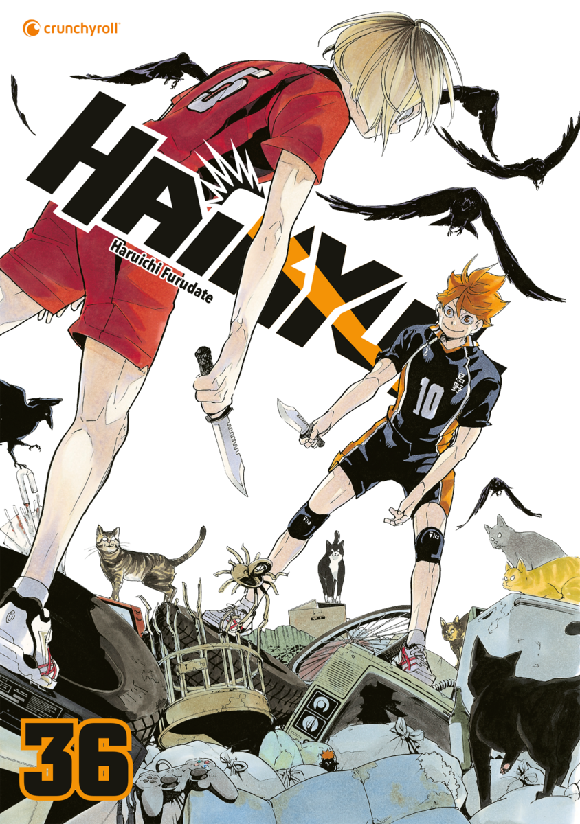 Haikyu!! | Band 36
