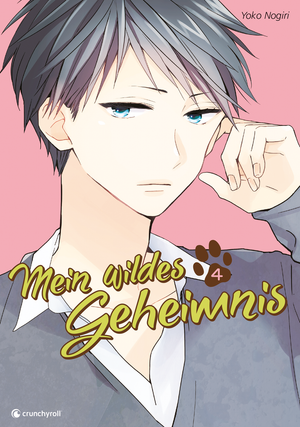 Mein wildes Geheimnis | Band 04 (Finale)