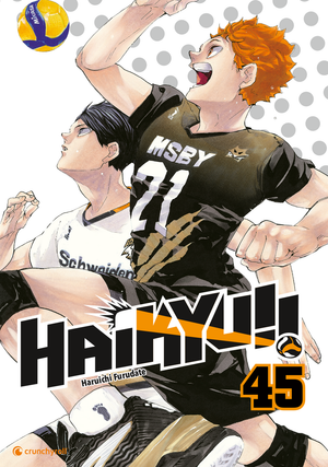 Haikyu!! | Band 45 (Finale)