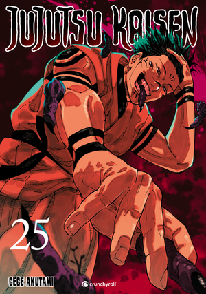 Jujutsu Kaisen | Band 25