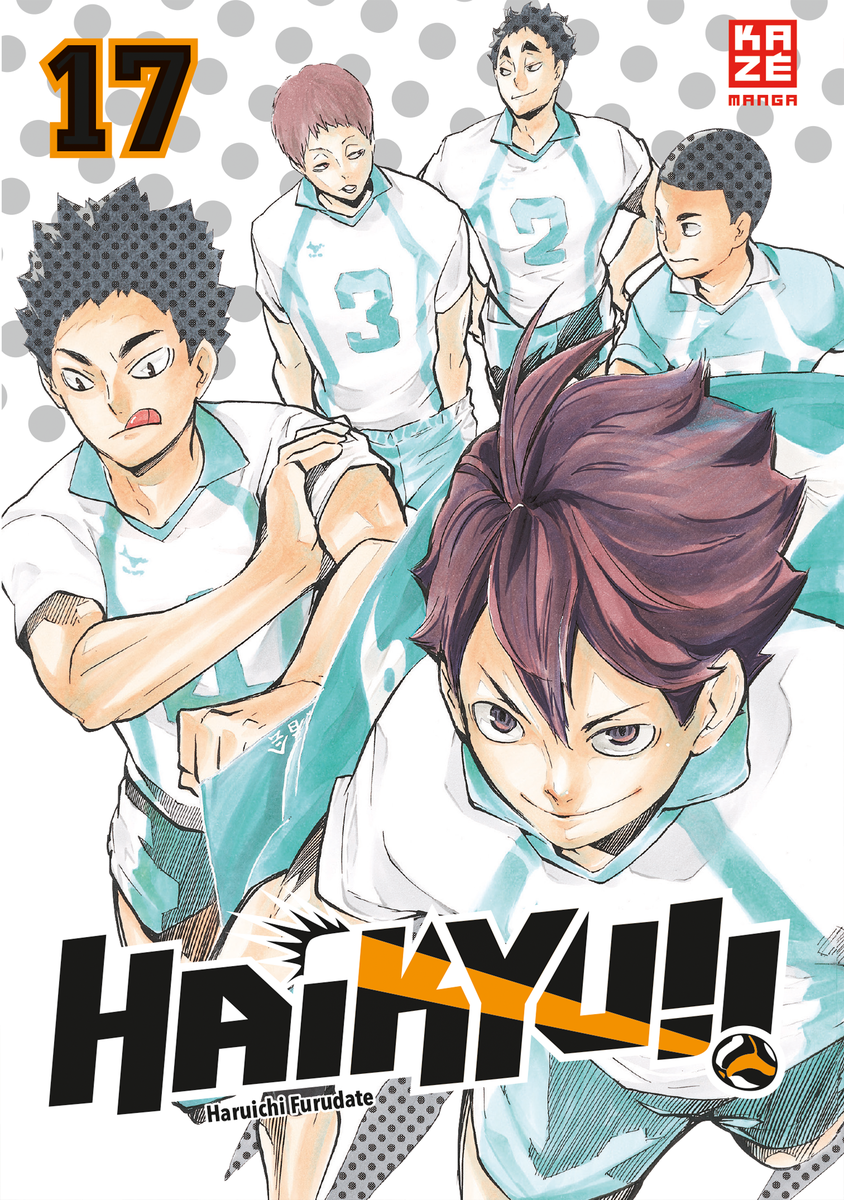 Haikyu!! | Band 17